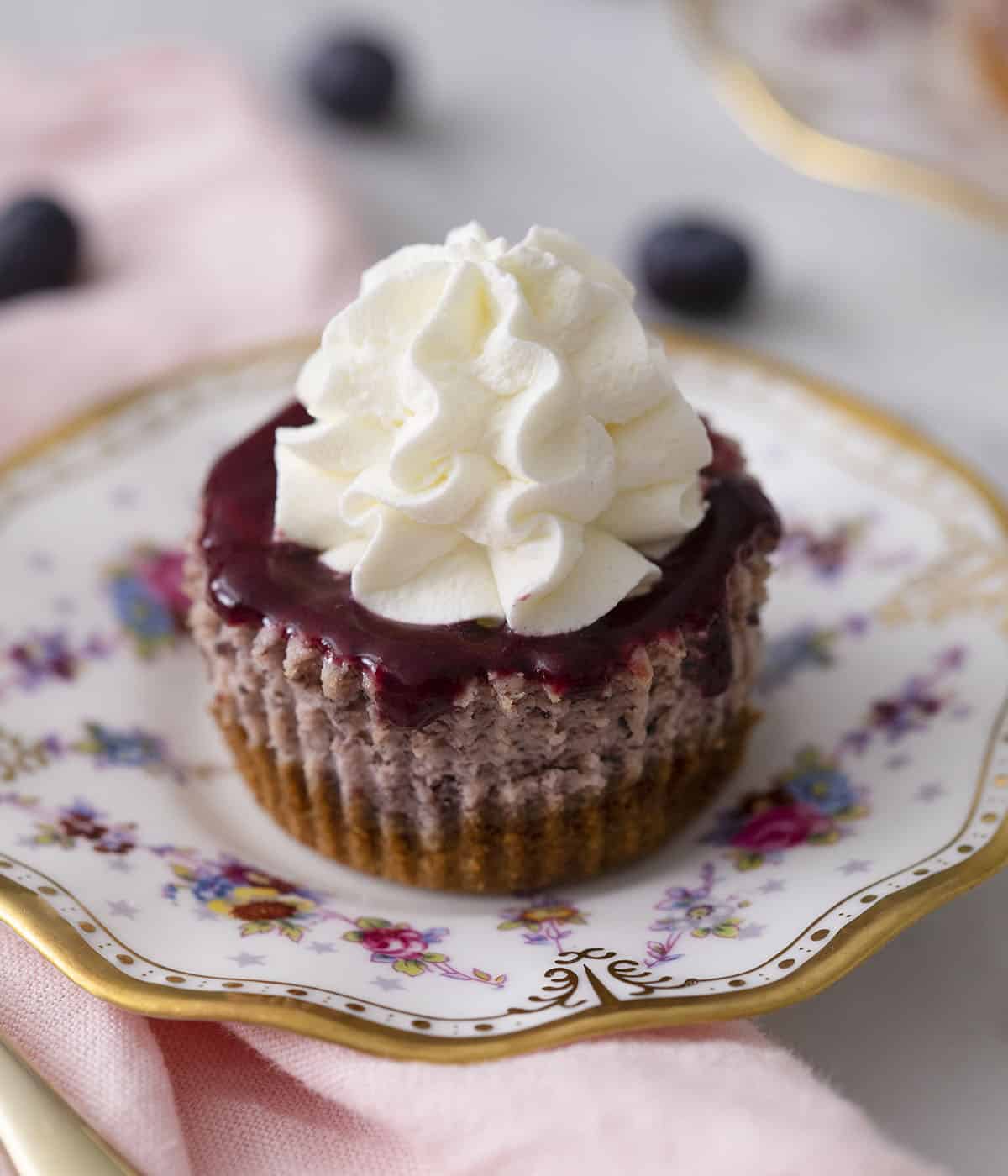 A Blueberry mini cheesecake topped with whipped cream on a plate.