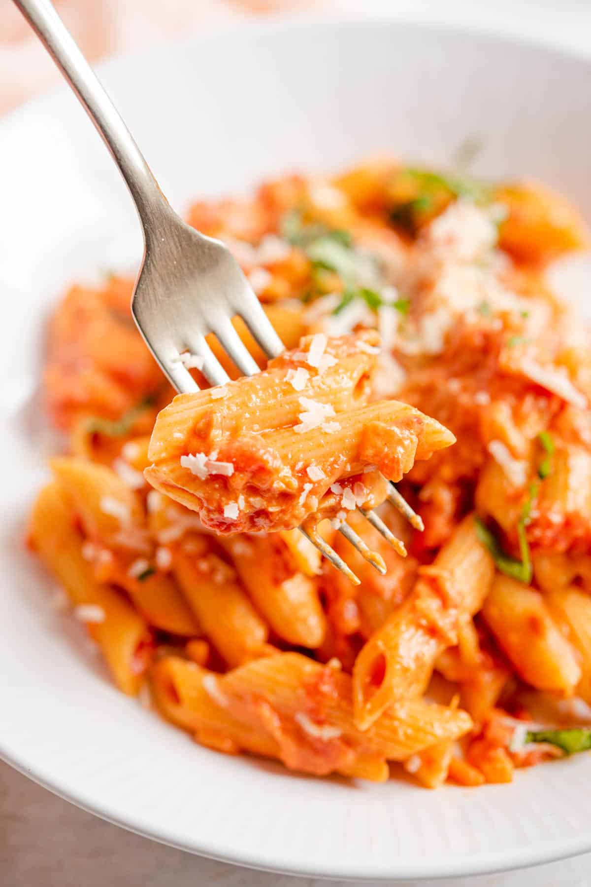 A close up of penne pasta with tomato vodka sauce on a fork