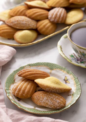 Madeleines Recipe - Preppy Kitchen