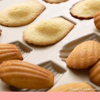 Madeleines with a hump in their baking tin.