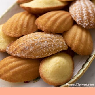 Golden Madeleines dusted with powdered sugar on a tray.