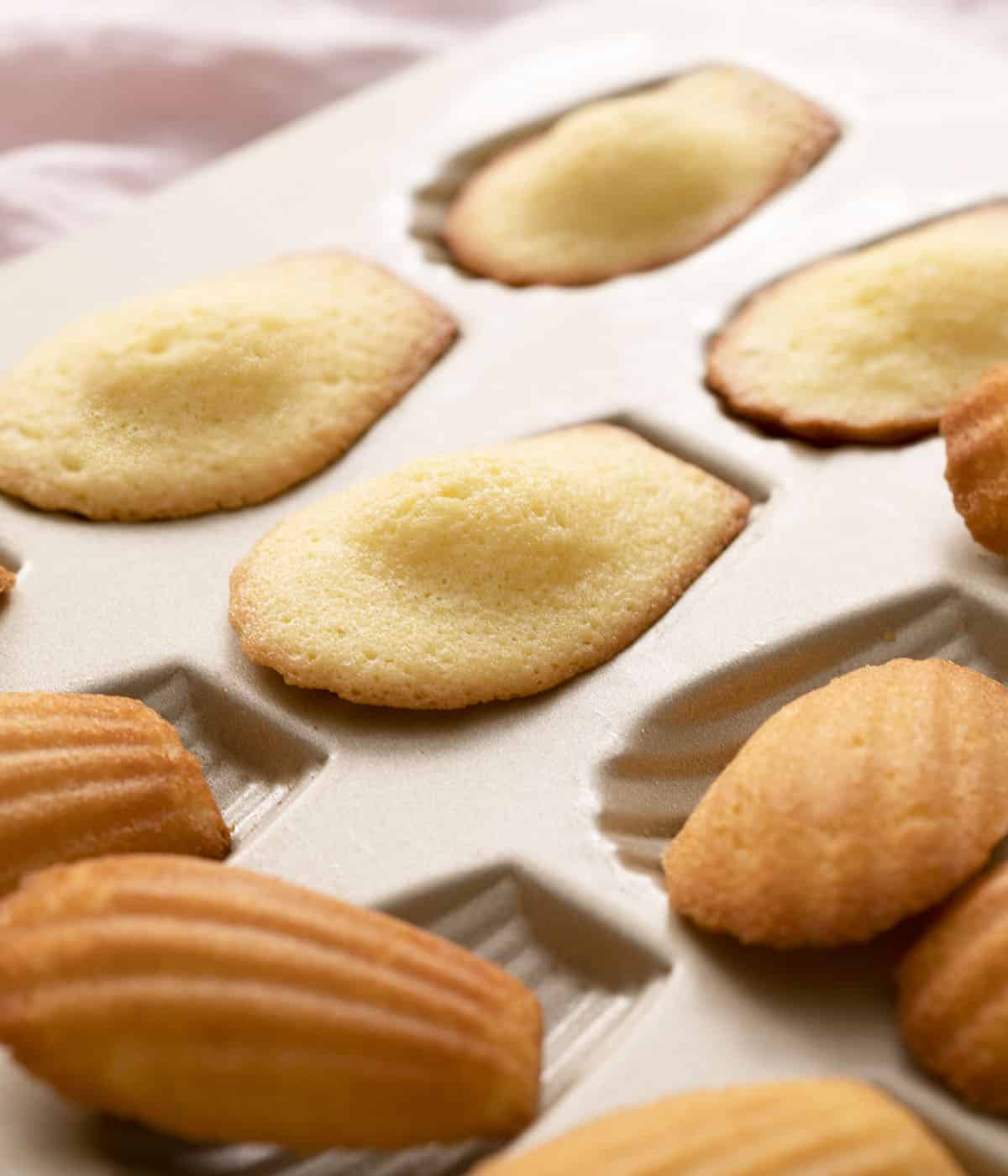 Madeleines cooling in their golden baking tin.