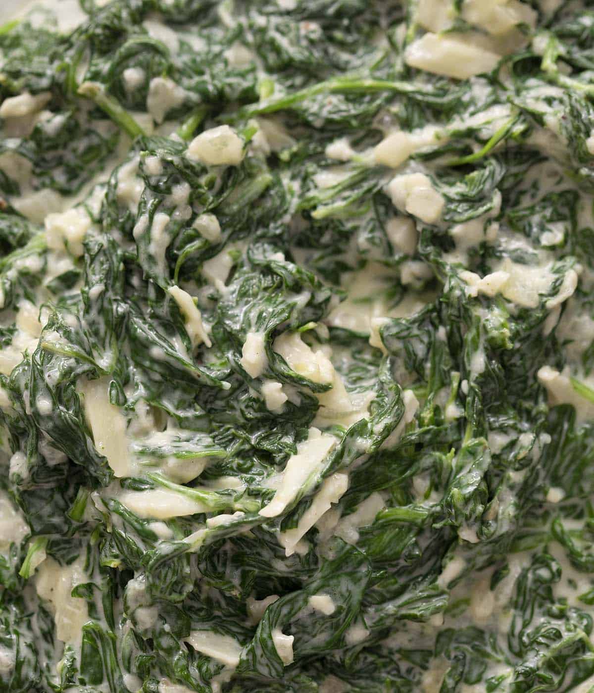 A close up photo of creamed spinach.