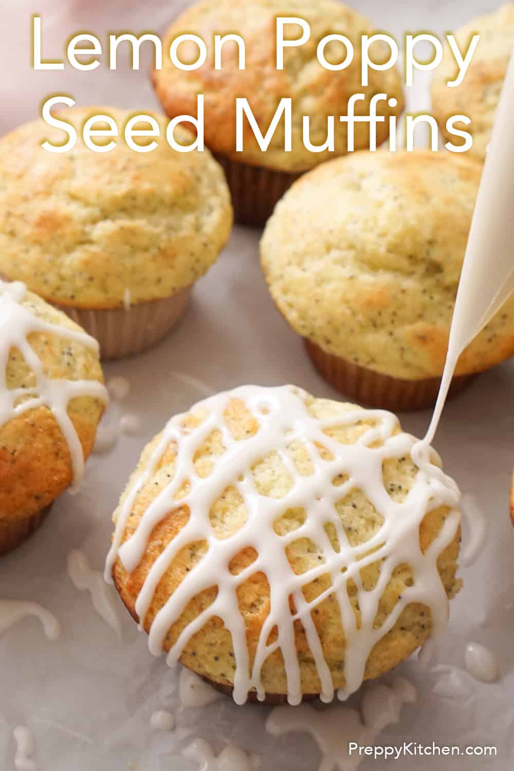 Lemon Poppy Seed Muffins Preppy Kitchen