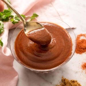 A spoonful of enchilada sauce lifted from the bowl with spices and fresh cilantro on the side.