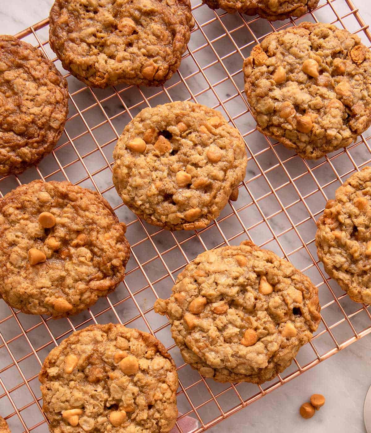 An overhead shot of oatmeal scotchies on a cooling rack