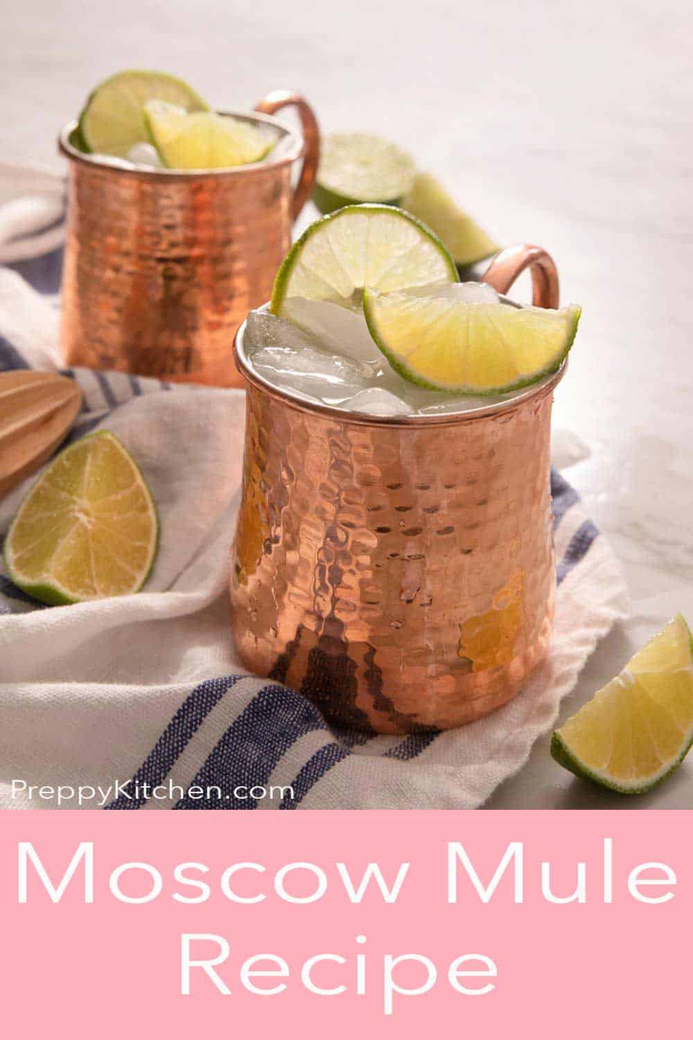 Moscow Mule Recipe - Preppy Kitchen