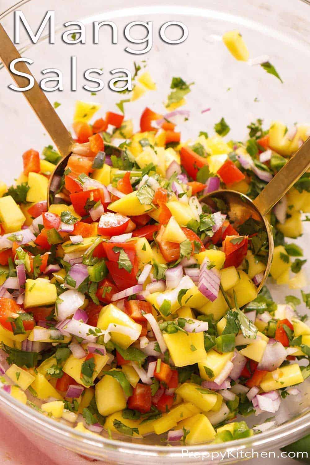 Mango Salsa Preppy Kitchen