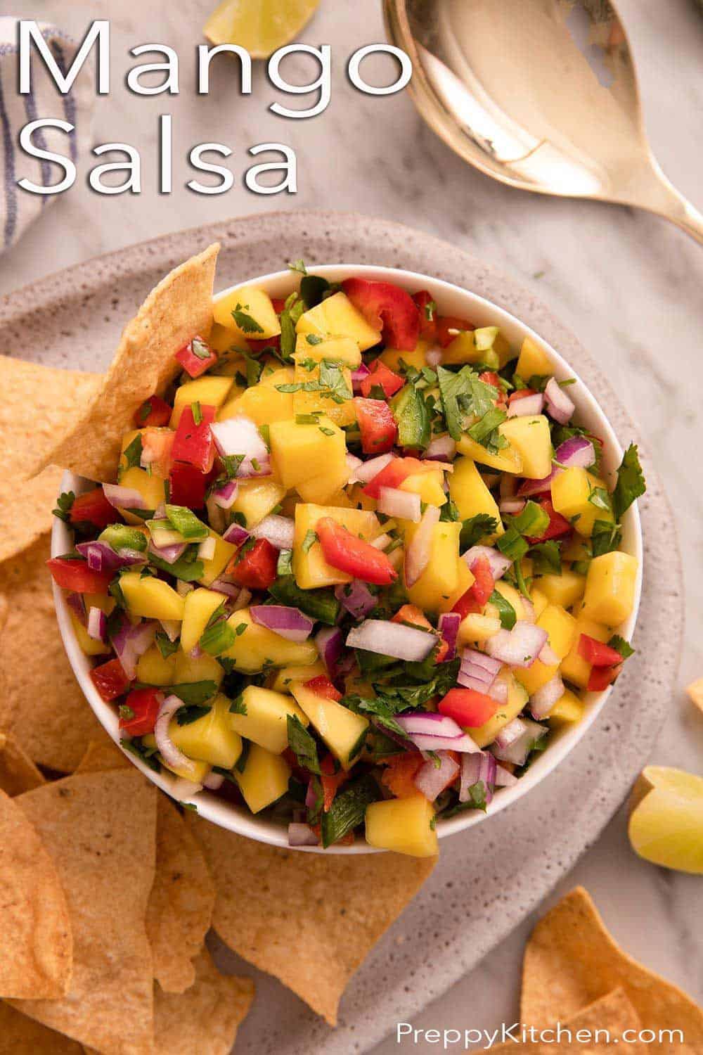 Mango Salsa Preppy Kitchen