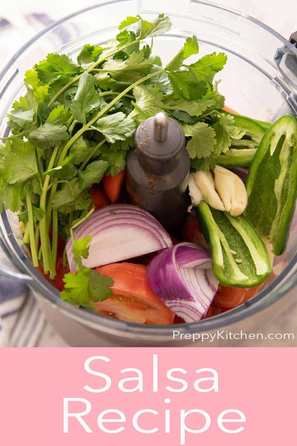 Salsa Recipe Preppy Kitchen