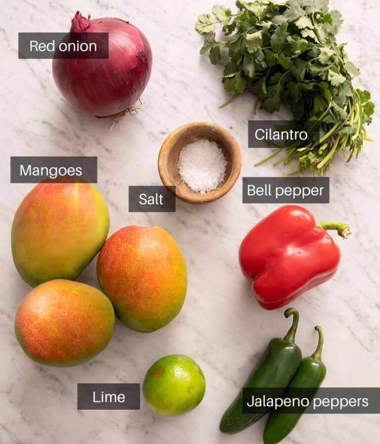 Mango Salsa Preppy Kitchen