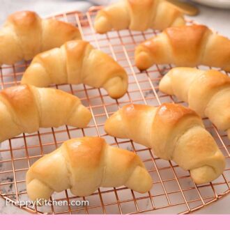 Dinner Rolls - Preppy Kitchen