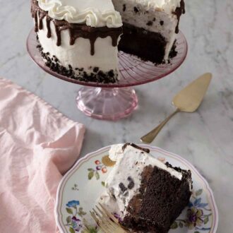 Pinterest graphic of an ice cream cake on a cake stand with a slice on a plate in front with a fork.