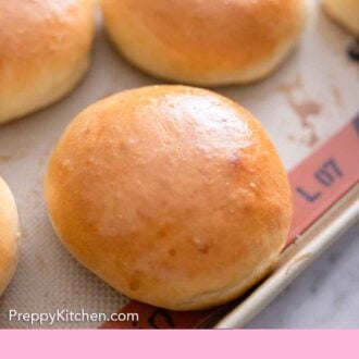 Pinterest graphic of brioche buns on a silpat on a sheet pan.