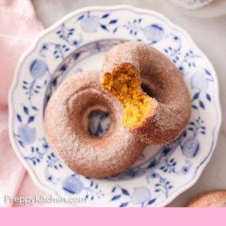 Pinterest graphic of two cinnamon sugar coated pumpkin donuts with one propped on the other and a bite taken out of it.