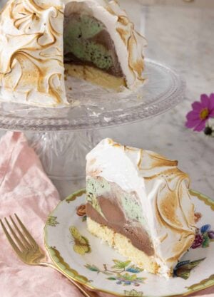 A plate with a slice of baked Alaska in front of the rest of the dessert.