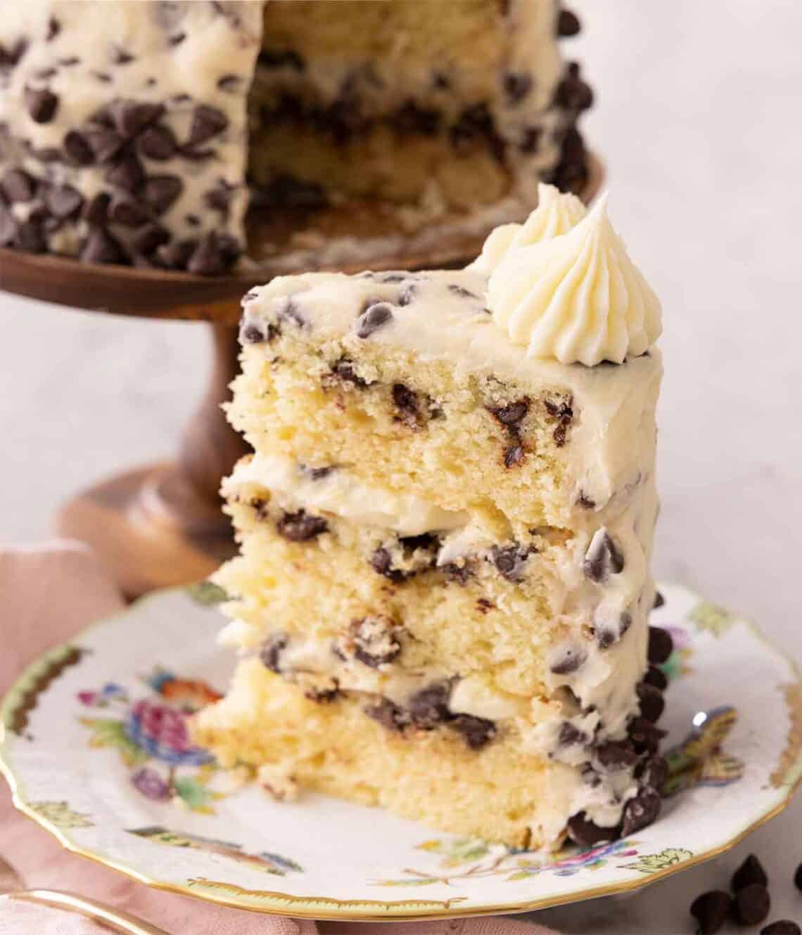 Chocolate Chip Cake - Preppy Kitchen