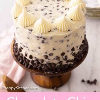 Pinterest graphic of a chocolate chip cake.