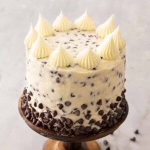 A chocolate chip cake on a cake stand with dollops of buttercream on top.