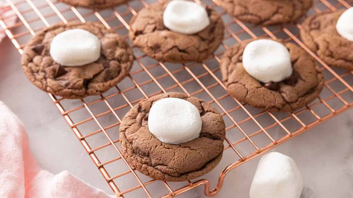 Chocolate Sugar Cookies - Preppy Kitchen