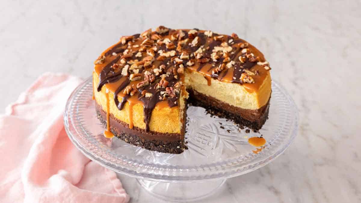 Pudgy Turtle Cheesecake