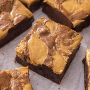 Peanut butter brownies cut into square pieces in a single layer.
