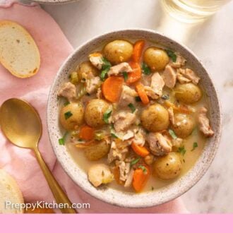 Pinterest graphic of the overhead view of a bowl of chicken stew.