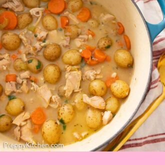 Pinterest graphic of chicken stew inside a large pot.
