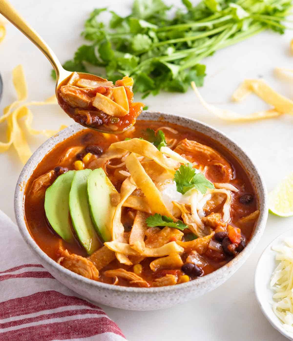 A spoonful of chicken tortilla soup lifted from the bowl.