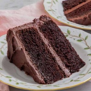 A plate with a slice of devil's food cake with a fork beside it.