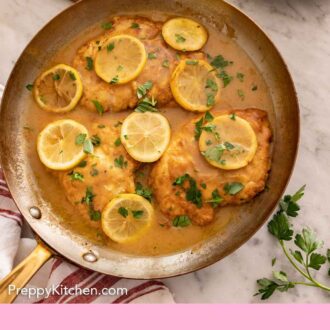Pinterest graphic of an overhead view of a skillet of chicken Francese with lemon slices and parsley on top.