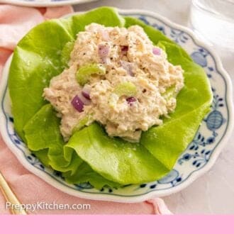 Pinterest graphic of a plate with tuna salad on lettuce.