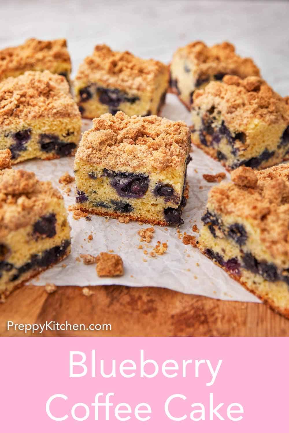 Blueberry Coffee Cake - Preppy Kitchen