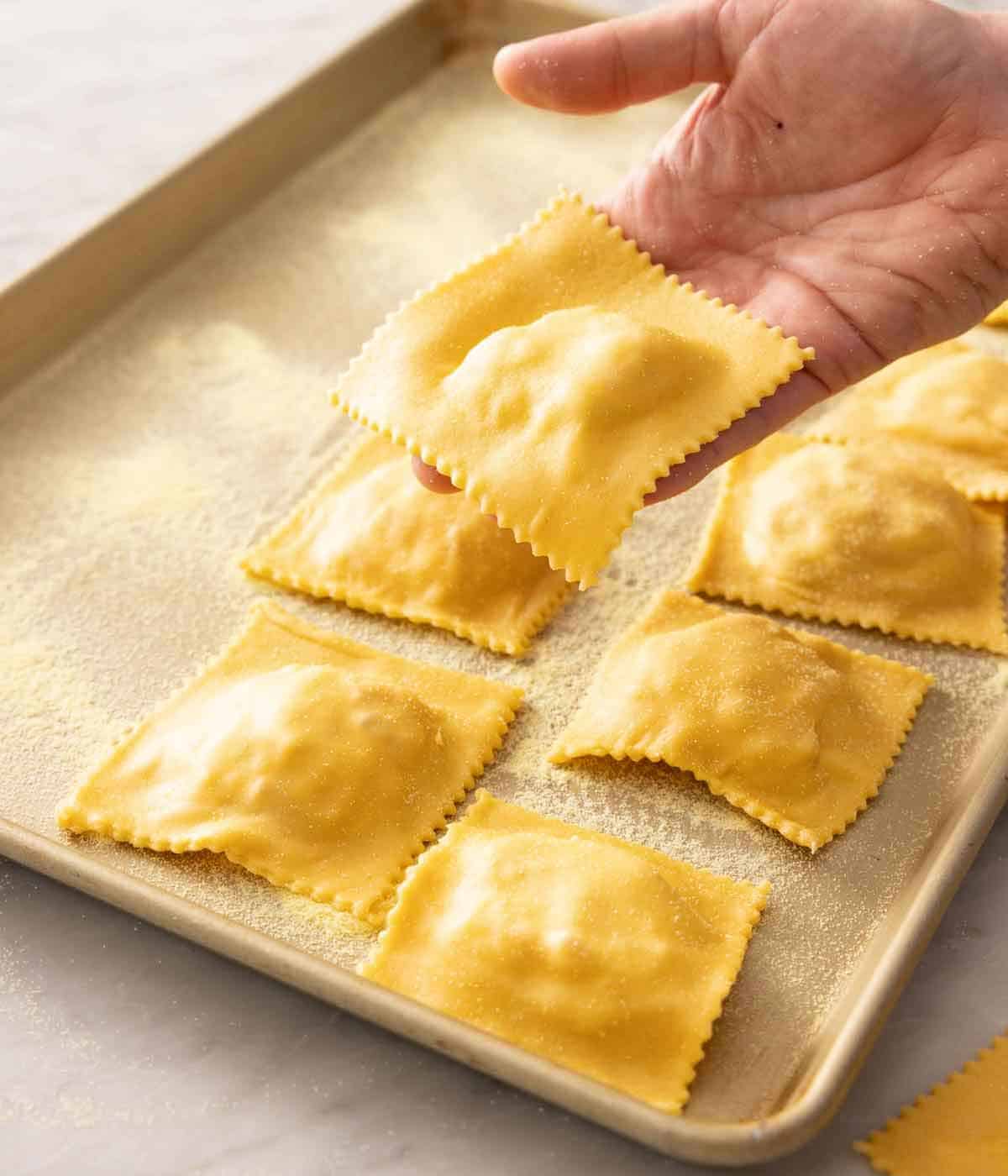 A hand placing square cut pasta dough onto a sheet pan with additional dough.