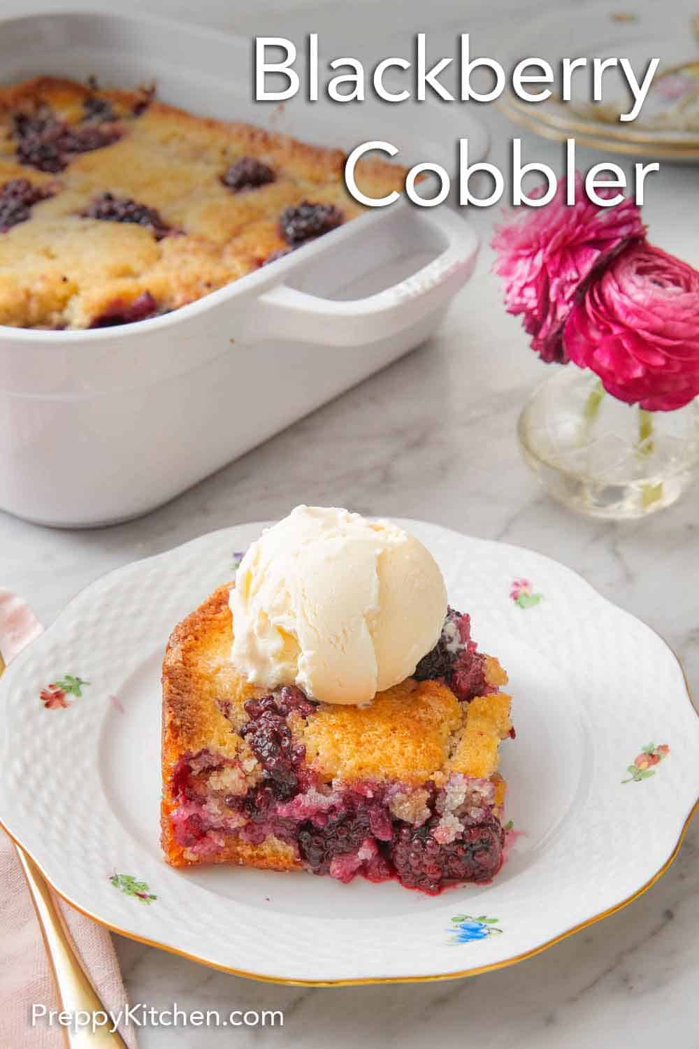 Easy Blackberry Cobbler Recipe - Preppy Kitchen