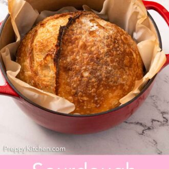 Pinterest graphic of a slightly angled overhead view of a baked loaf of sourdough bread in a red dutch oven.