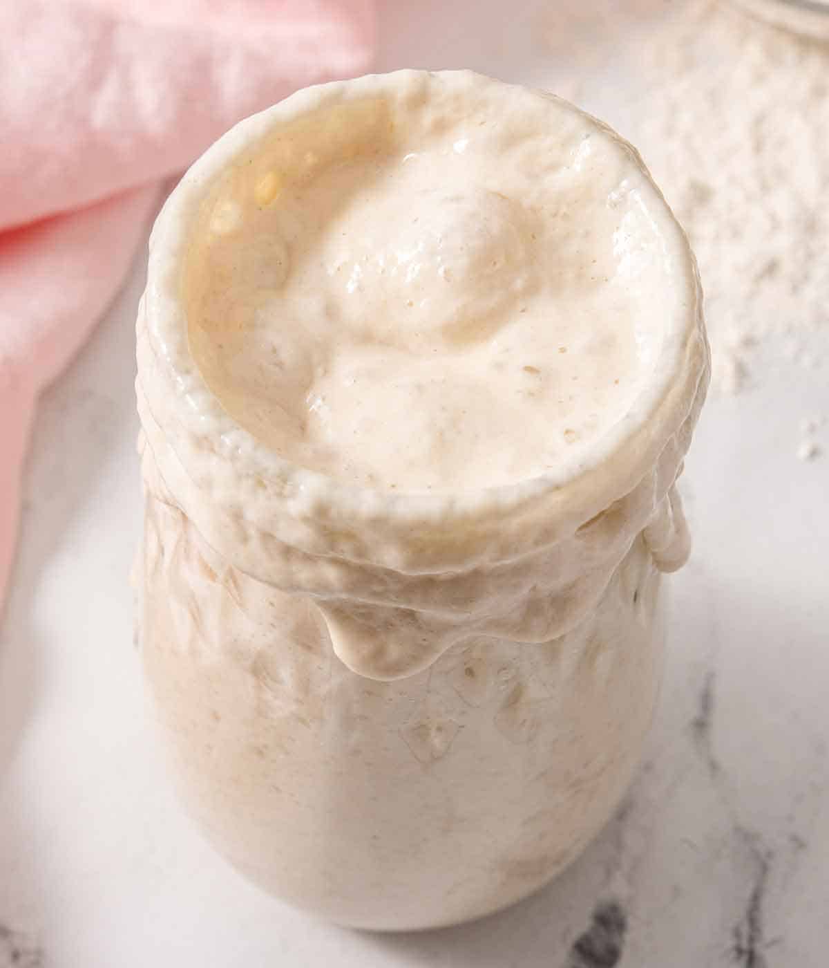 Angled overhead view of a jar of bubbly sourdough starter.