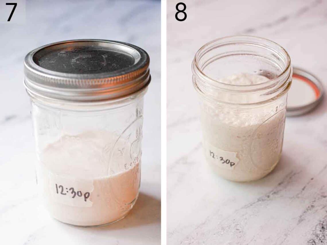 Sourdough Starter - Preppy Kitchen