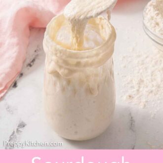 Pinterest graphic of a spoonful of sourdough starter spooned out of a jar.