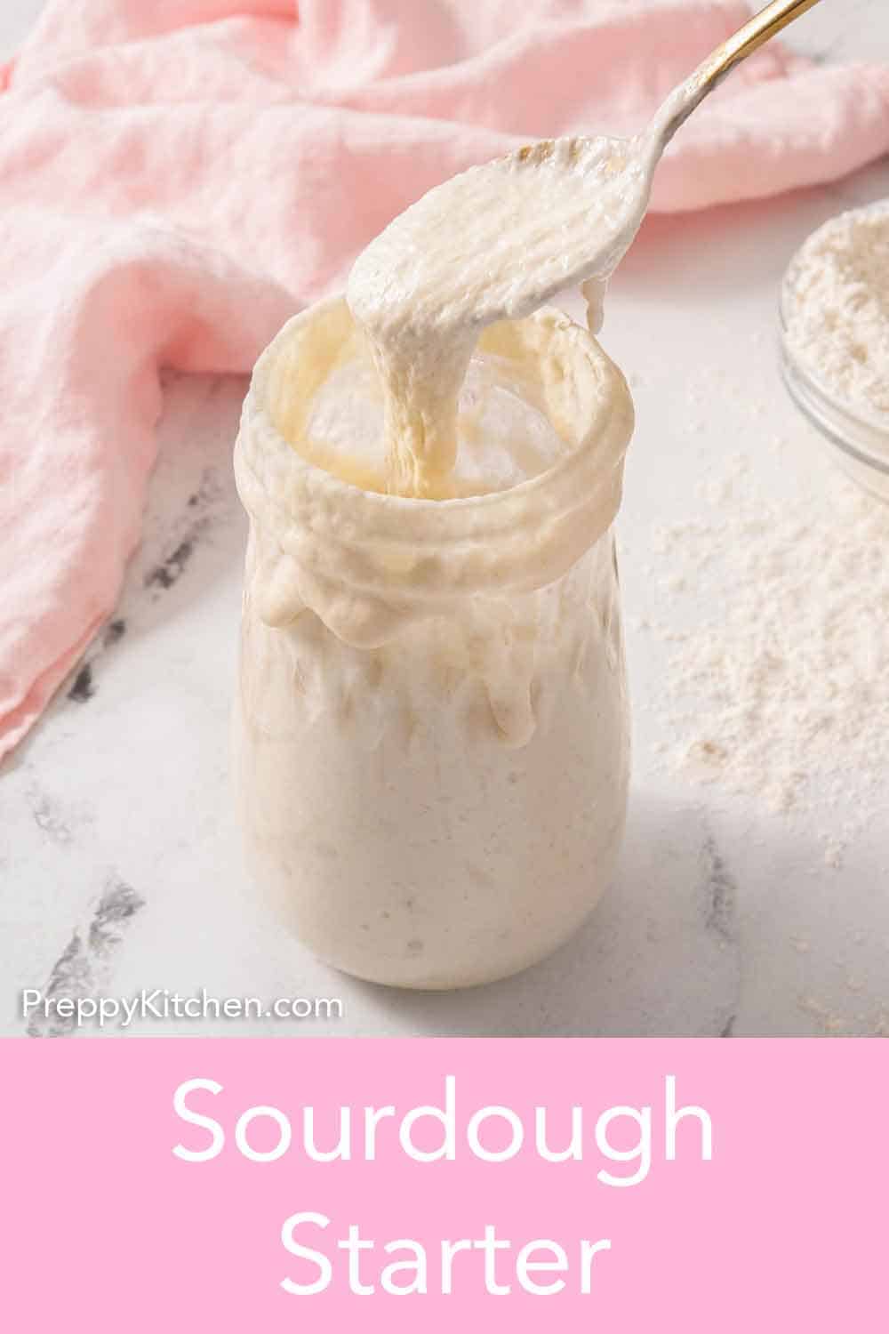 Sourdough Starter Preppy Kitchen