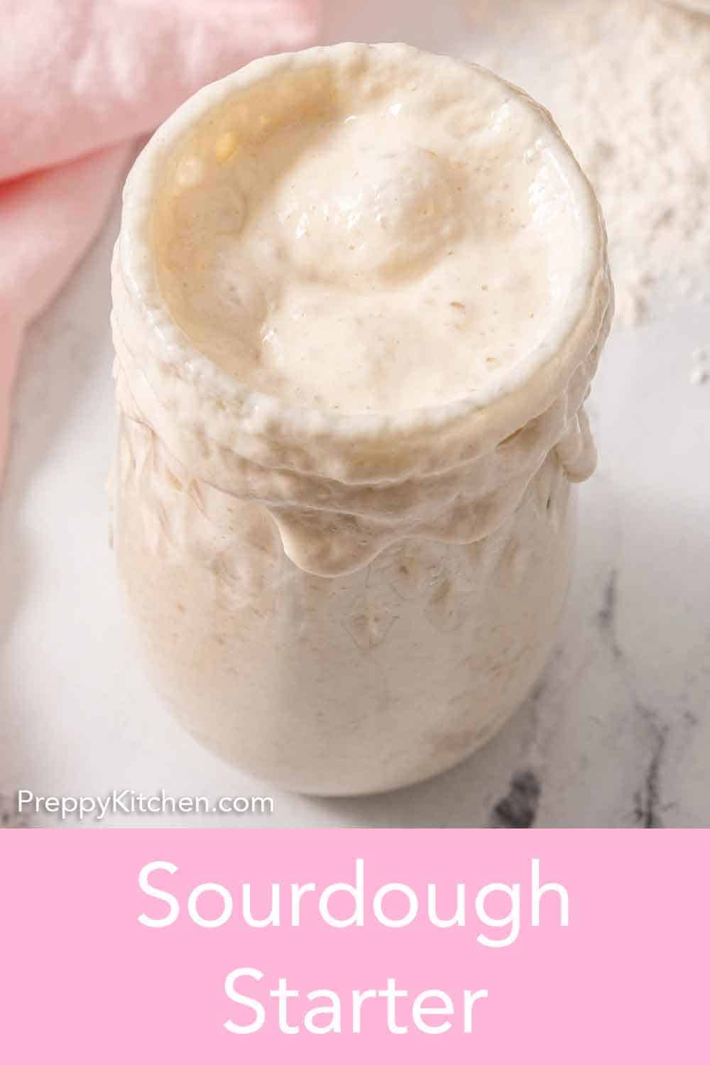 Sourdough Starter Preppy Kitchen