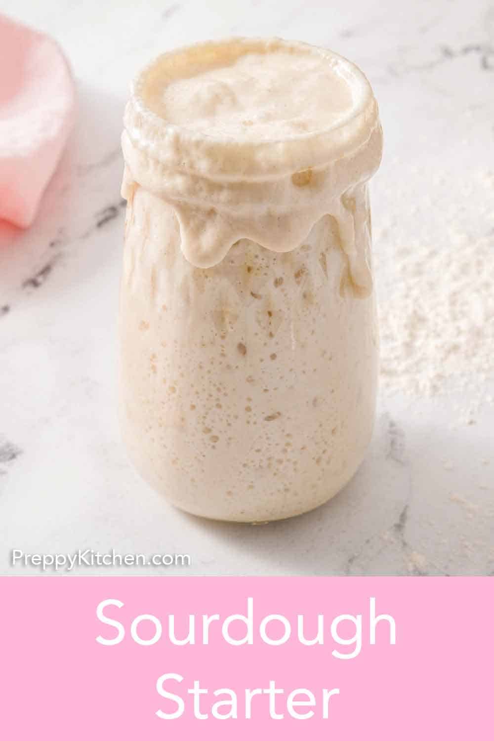 Sourdough Starter Preppy Kitchen