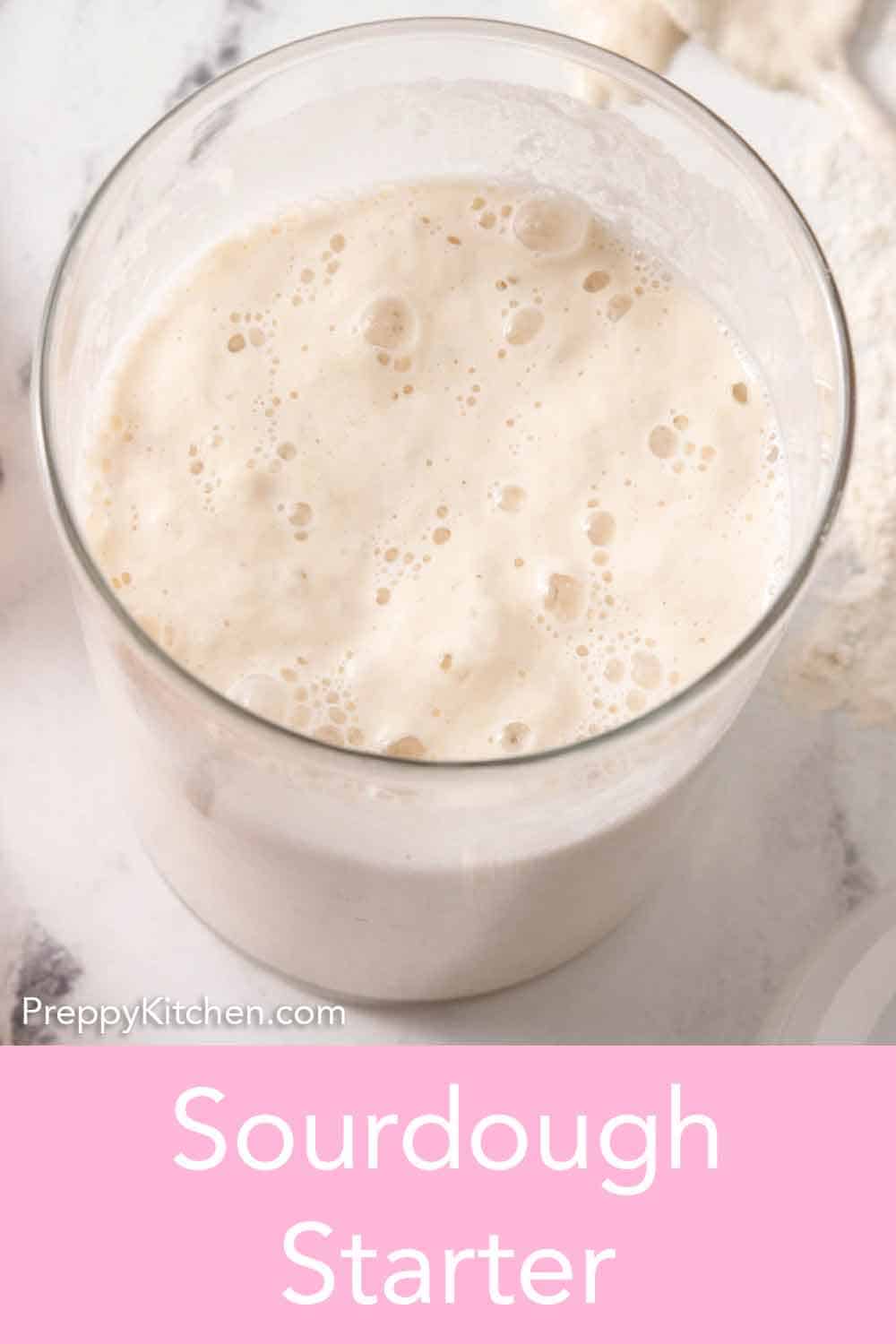 Sourdough Starter Preppy Kitchen