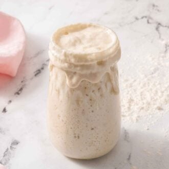 A tall mason jar of sourdough starter with some overflowing. A small bowl of flour and a pink linen behind it.