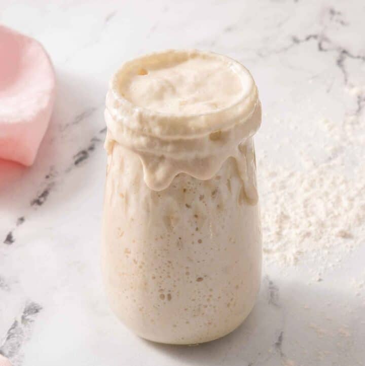 Sourdough Starter Preppy Kitchen