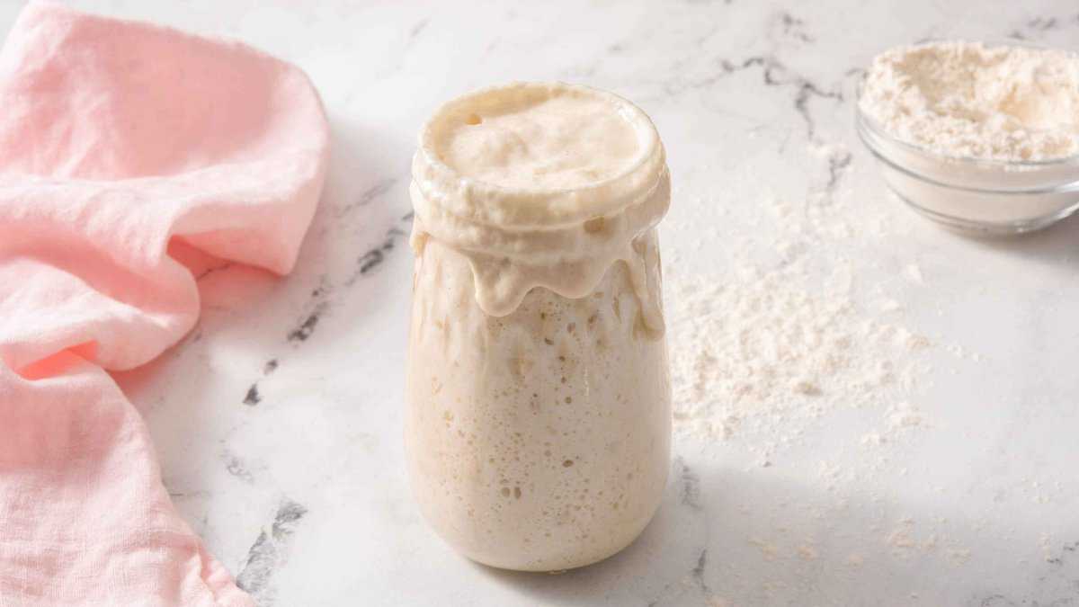 https://preppykitchen.com/wp-content/uploads/2022/08/Sourdough-Starter-Recipe-Card-scaled.jpg