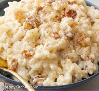 Pinterest graphic of a close up view of rice pudding with cinnamon sprinkled on top.