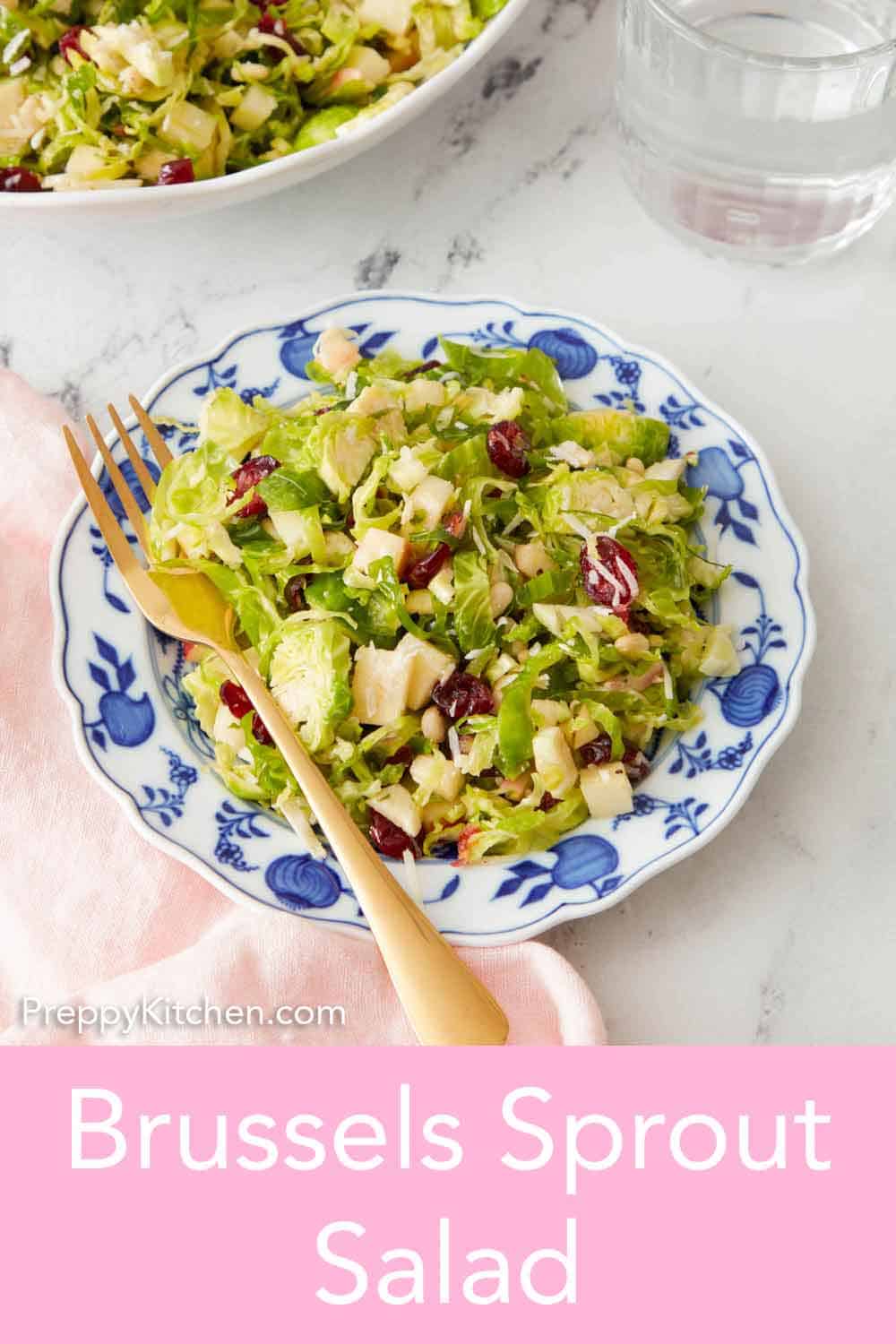 Brussels Sprout Salad - Preppy Kitchen