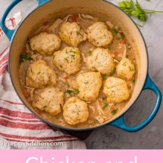 Pinterest graphic of a dutch oven of chicken and dumplings.