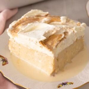 A piece of peanut butter flavored tres leches cake on a plate.